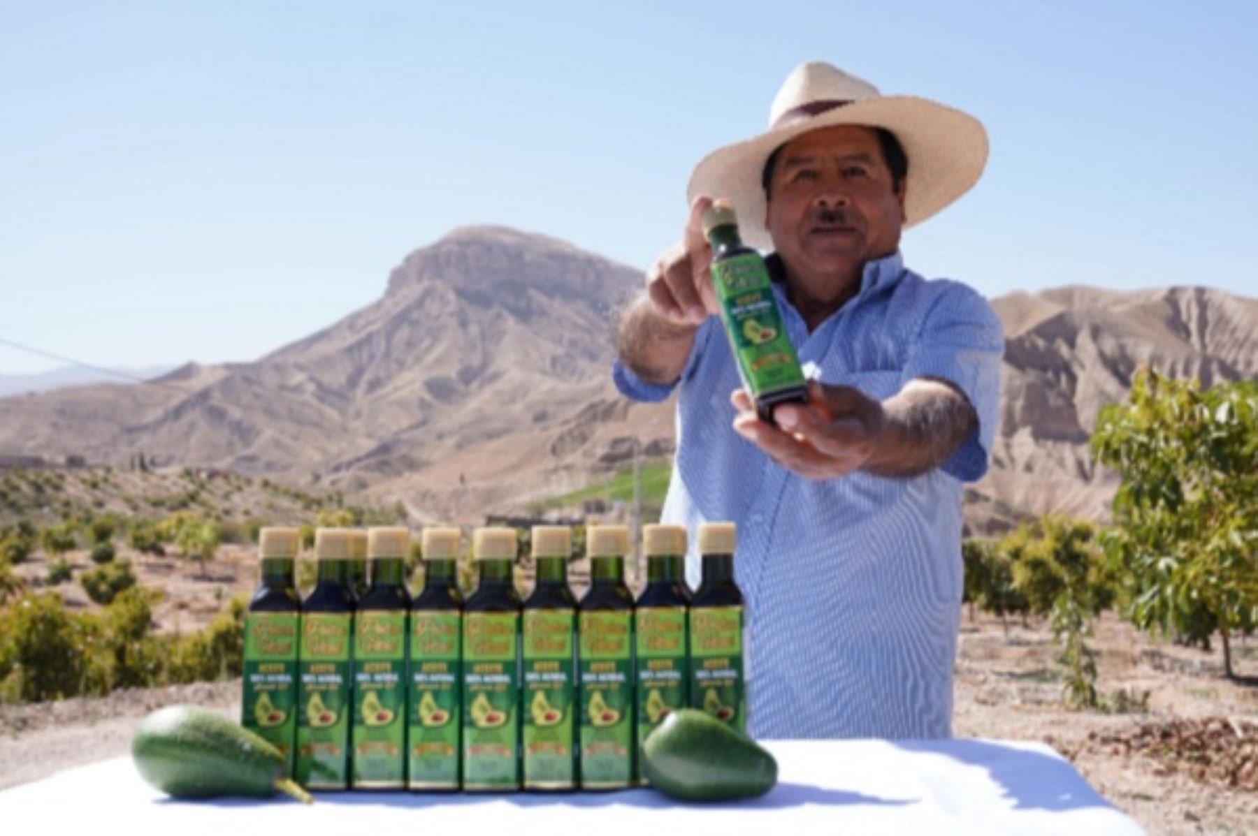 Serapio Villegas, un padre de familia y emprendedor moqueguano, fabrica aceite de palta para la exportación. Foto: Cortesía.