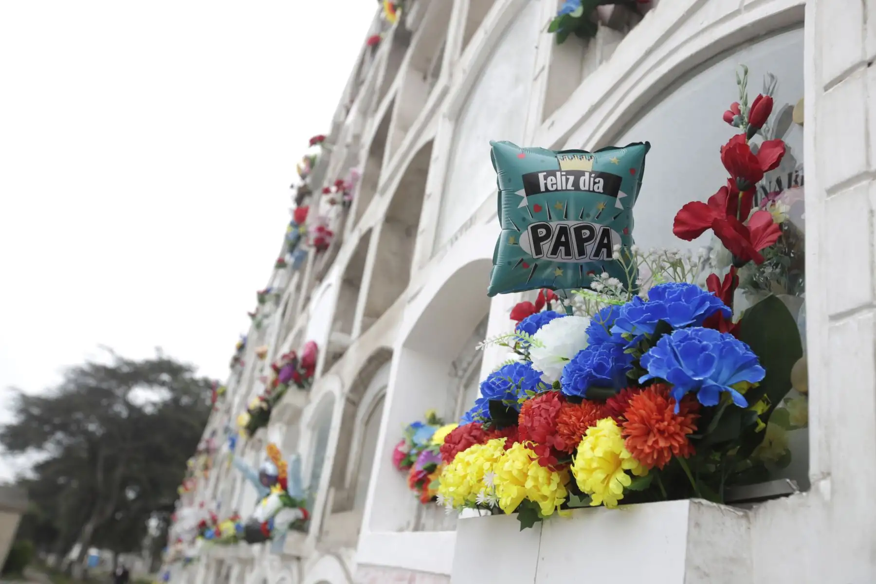 En conmemoración por el Día del Padre, que se celebra el tercer domingo de junio, miles de personas llegan hoy hasta los cementerios de Lima y Callao, a fin de rendir homenaje a sus padres y abuelos con diferentes manifestaciones de afecto. En la imagen, Cementerio El Ángel.
Foto: ANDINA/Eddy Ramos