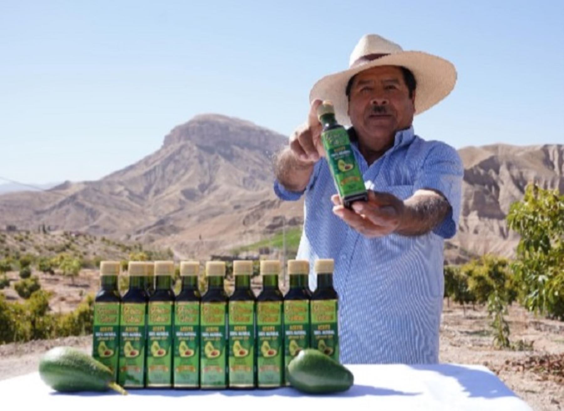 Don Serapio Villegas es un productor de palta de Moquegua que logró transformar el descarte de palta en un aceite de alta calidad con gran valor nutricional. ANDINA/Difusión