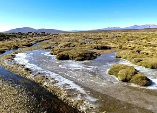 Sunass puso en marcha en Tacna un plan piloto de monitoreo con drones en la cuenca del río Uchusuma para evaluar el estado de conservación de dichos bofedales. ANDINA/Difusión