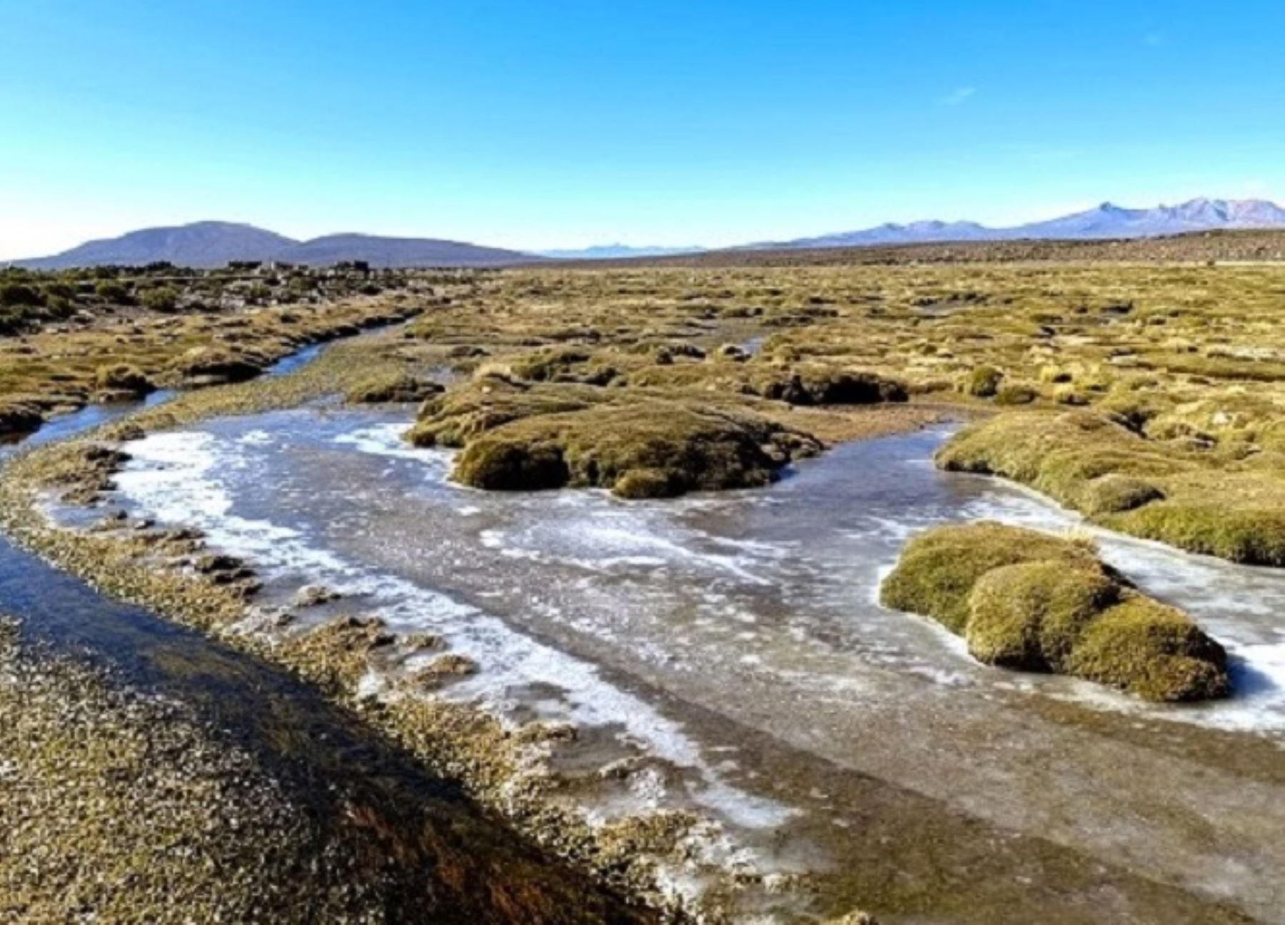 Sunass puso en marcha en Tacna un plan piloto de monitoreo con drones en la cuenca del río Uchusuma para evaluar el estado de conservación de dichos bofedales. ANDINA/Difusión