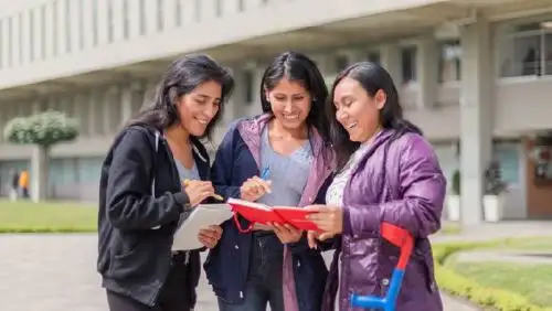 El Minedu anunció que solicitó a la Contraloría General de la República la realización de una auditoría integral a Pronabec y aclaró que esta entidad no paralizará sus labores. Foto: ANDINA/Difusión