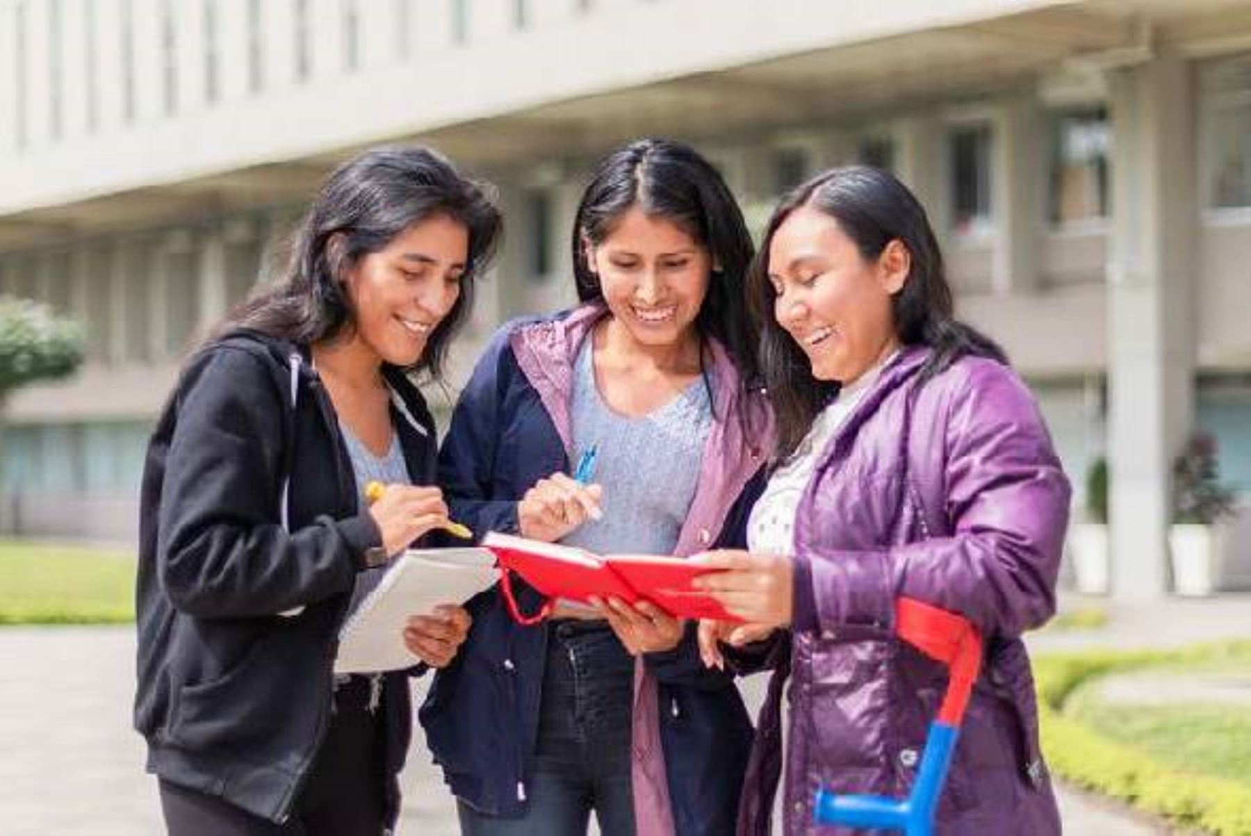Pronabec lanzó a nivel nacional la Beca Inclusión Carreras Profesionales, con el fin de reducir la brecha de acceso a la educación superior de los peruanos con discapacidad. Foto: ANDINA/Difusión