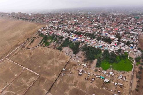 Villa El Salvador: Lomo de Corvina, la zona más vulnerable ante un sismo y tsunami