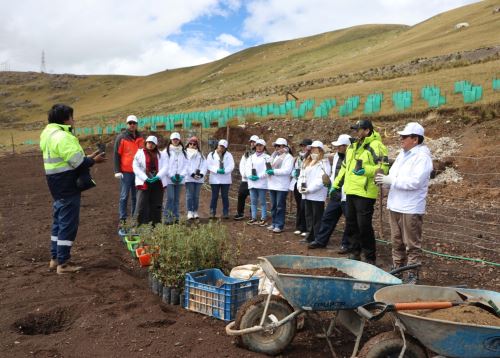 Conoce EcoChaki, la iniciativa que impulsa Amsac para la plantación de especies andinas en la ciudad de Cerro de Pasco.