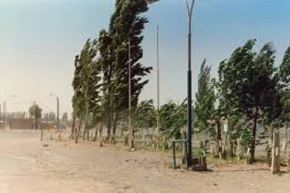 Este viernes 18 julio se prevén vientos con velocidades próximas a los 35 km/h en la sierra norte, y alrededor de los 33 km/h en la sierra centro y sur.ANDINA/Difusión