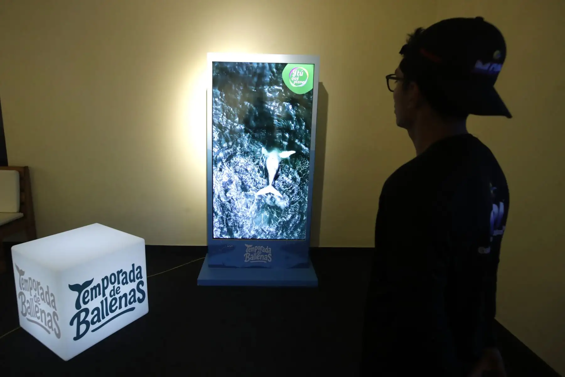 PROMPERÚ anuncia oficialmente la campaña de promoción de Avistamiento de Ballenas 2025 en las regiones de Piura y Tumbes. Esta iniciativa tiene como objetivo promover el turismo responsable y sostenible.
Foto: ANDINA/Eddy Ramos