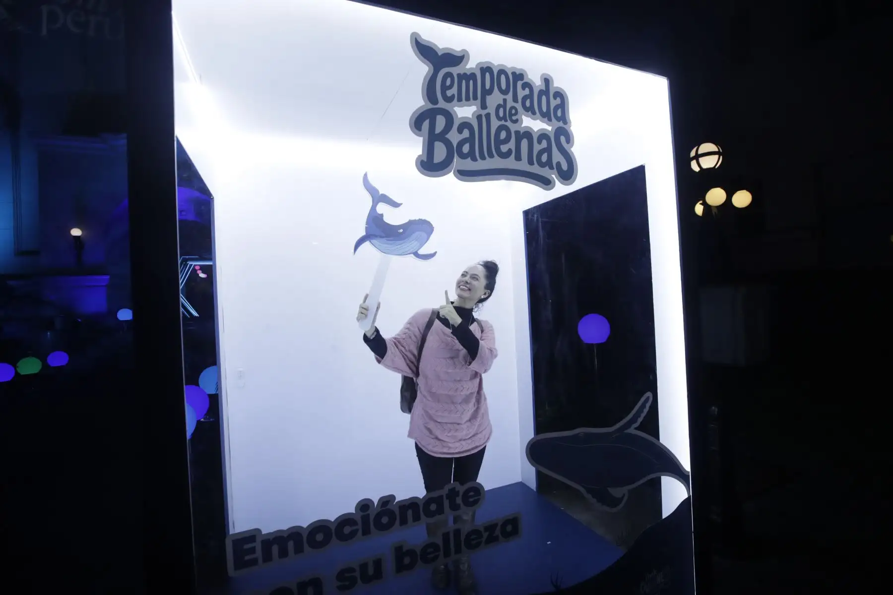 PROMPERÚ anuncia oficialmente la campaña de promoción de Avistamiento de Ballenas 2025 en las regiones de Piura y Tumbes. Esta iniciativa tiene como objetivo promover el turismo responsable y sostenible.
Foto: ANDINA/Eddy Ramos