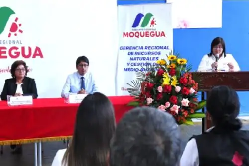 Viceministra de Desarrollo Estratégico de los Recursos Naturales, Raquel Soto, participó en el taller “Dialoguemos: Actualización de los compromisos climáticos del Perú, la NDC 3.0”,