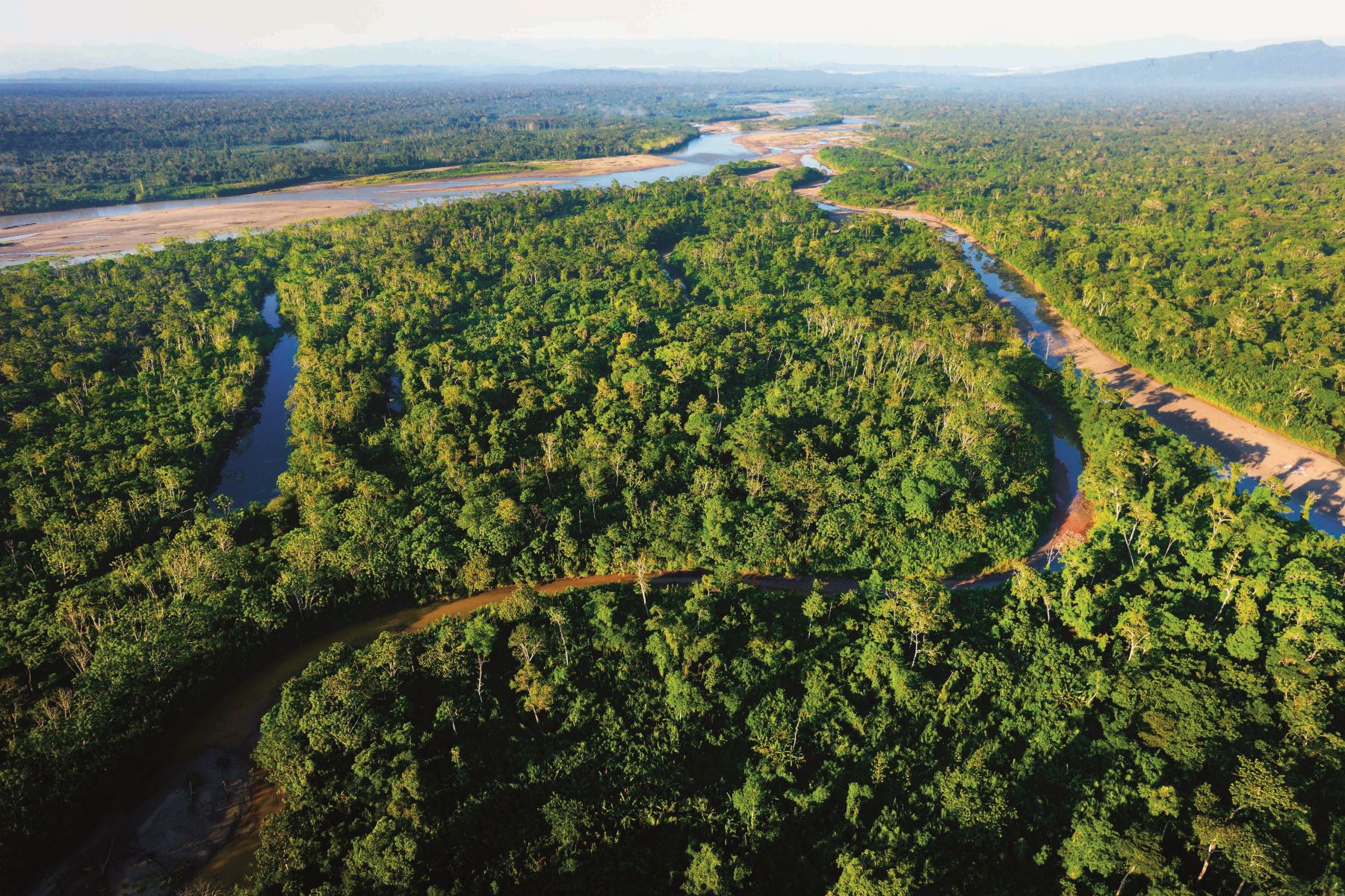 El Parque Nacional del Manu, uno de los lugares con mayor diversidad biológica del planeta. Foto: Cortesía/ Revista Viajeros