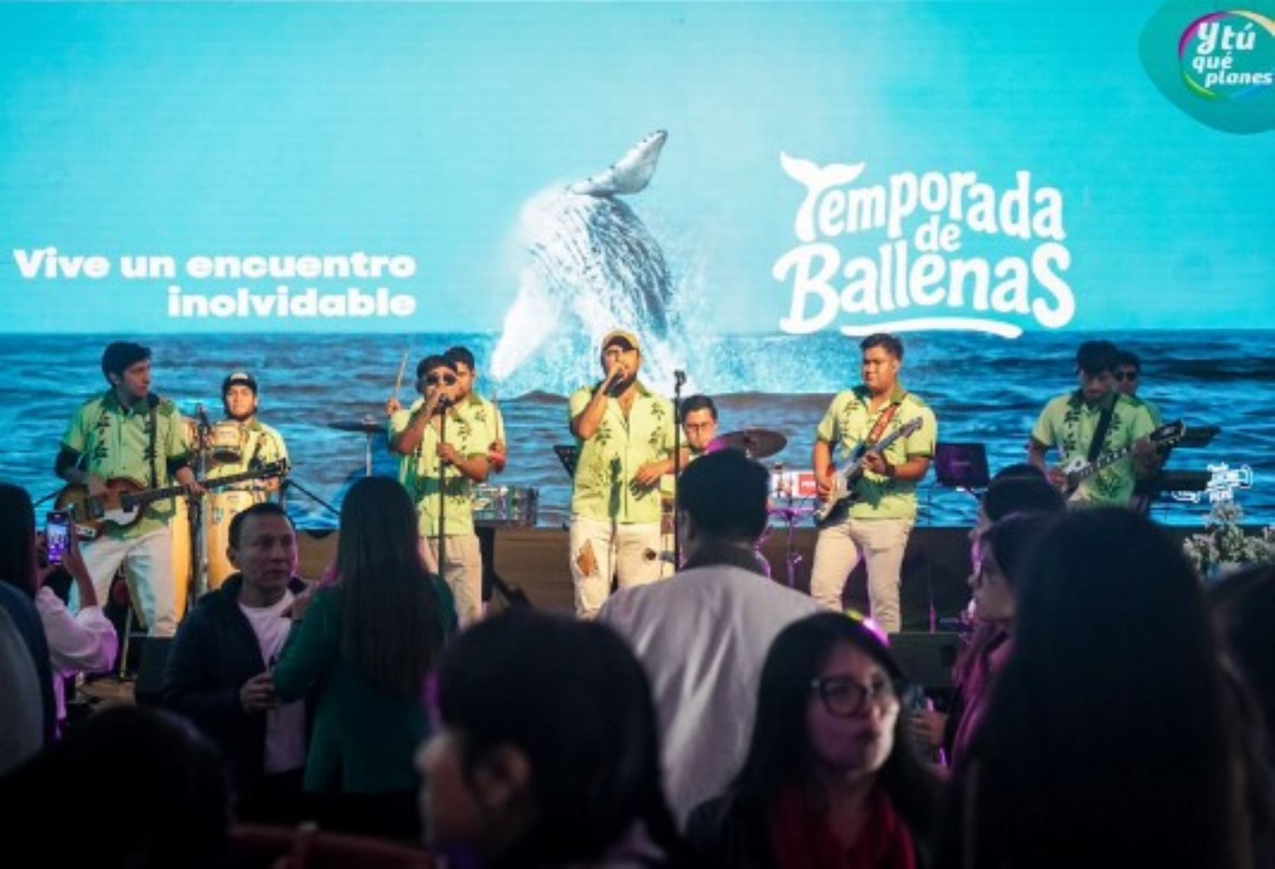 Promperú lanza una campaña de promoción de la Temporada de Avistamiento de Ballenas 2025. ANDINA/Difusión