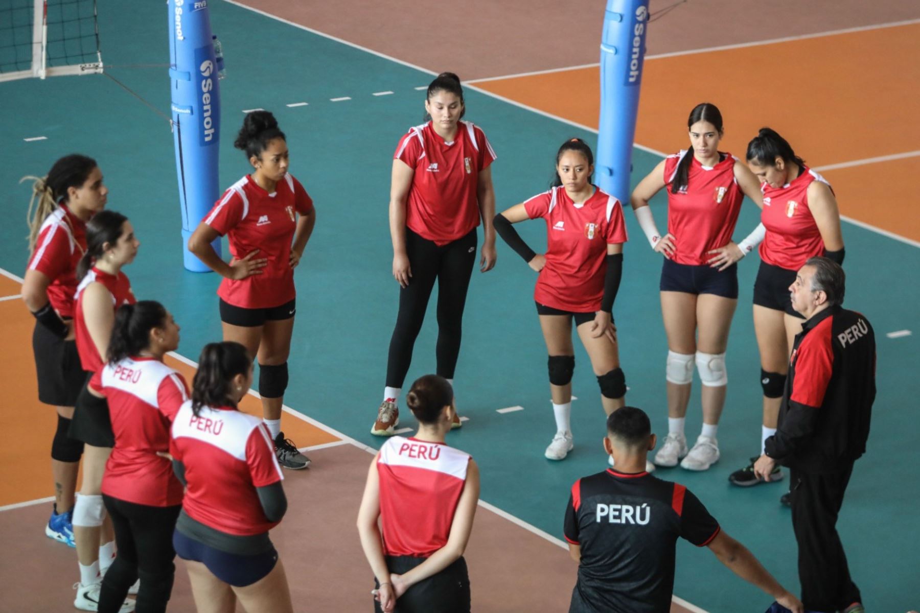 La selección peruana de vóley realiza sus entrenamientos en la Videna IPD