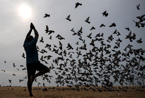Día Internacional del Yoga: una práctica milenaria que une al mundo