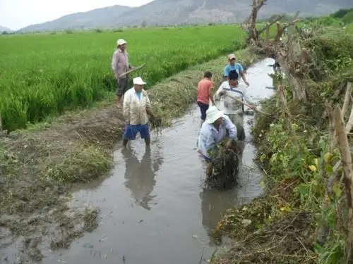 La formalización del uso del recurso hídrico es importante en regiones donde la agricultura es el motor del empleo y la seguridad alimentaria.