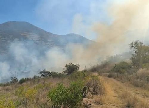 Un incendio forestal de grandes proporciones se registra en Ayacucho y ya arrasó con zonas naturales y amenaza al centro arqueológico donde se ubica la Cueva de Pikimachay. ANDINA/Difusión