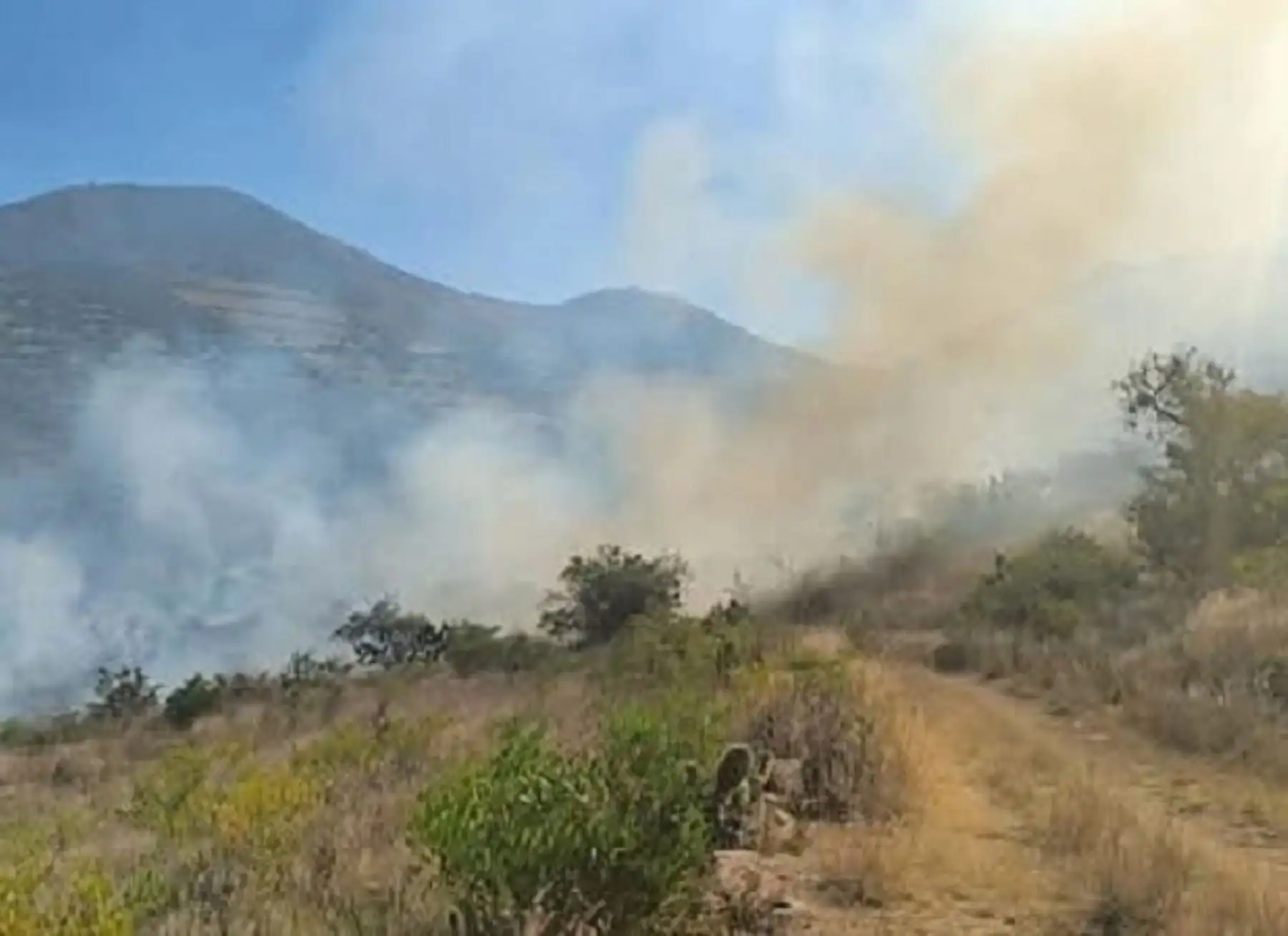 Un incendio forestal de grandes proporciones se registra en Ayacucho y ya arrasó con zonas naturales y amenaza al centro arqueológico donde se ubica la Cueva de Pikimachay. ANDINA/Difusión