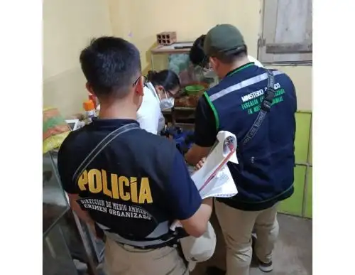 Autoridades desbaratan banda "Los depredadores del oriente" dedicada al tráfico ilegal de fauna silvestre que operaba en Loreto. En el operativo fueron detenidos 12 personas, entre ellas algunos funcionarios regionales. ANDINA/Difusión