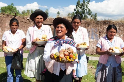 El Midis, a través de los tambos del programa PAIS, brinda asistencia técnica y acceso a los servicios del Estado para los pobladores puedan fortalecer sus labores agrícolas y ganaderas.