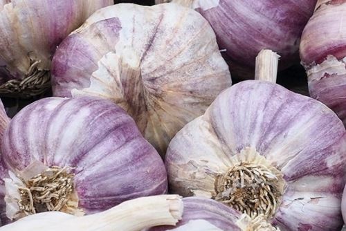 Minsa: descubre las propiedades curativas del ajo. Foto: ANDINA/Difusión.