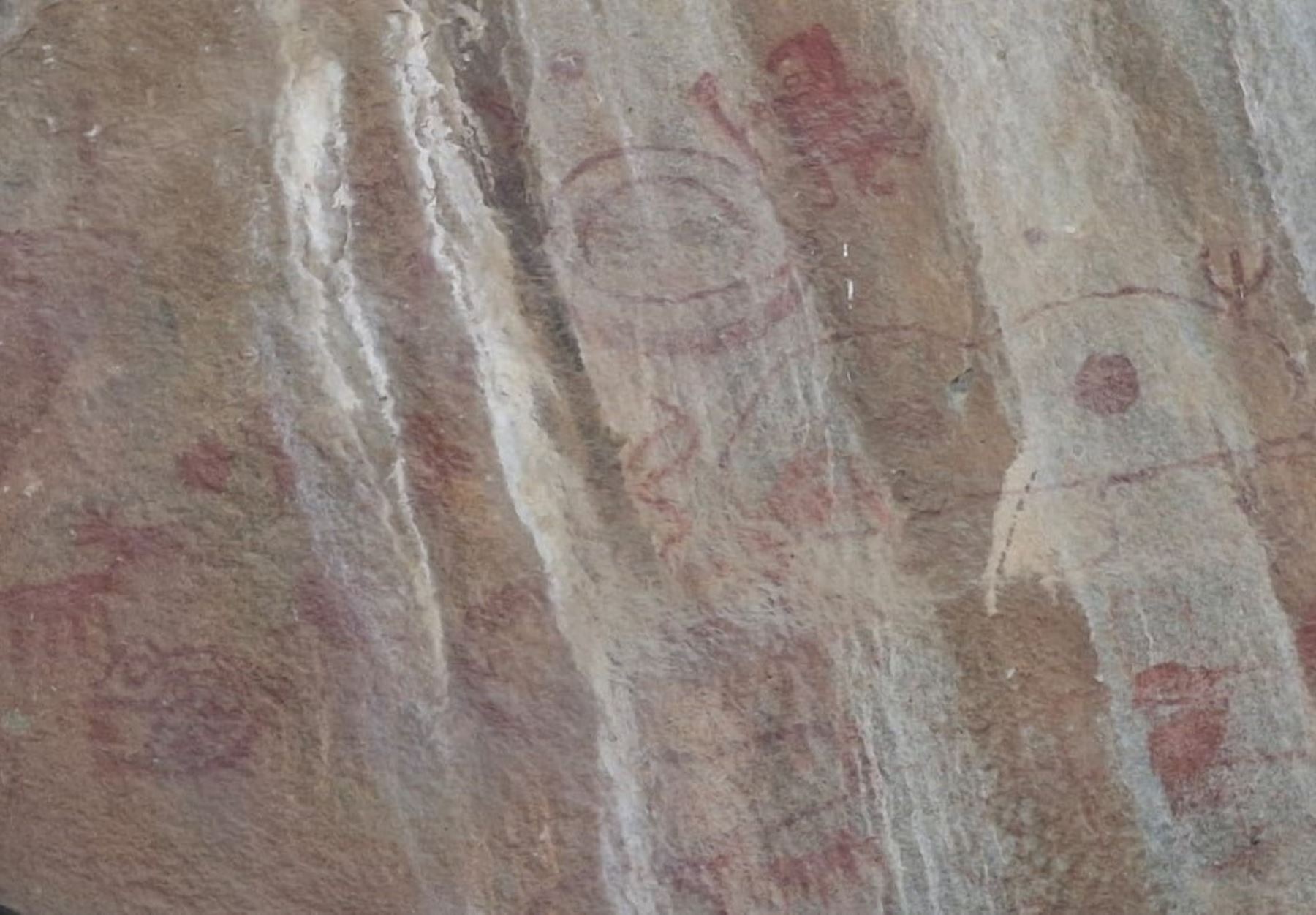 Expedición confirmó hallazgo de paredón de 23 metros de alto con arte rupestre. La evidencia se ubica en el distrito de Salpo, provincia de Trujillo. Foto: Cortesía Hernán Flores
