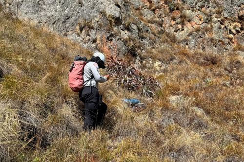 El turista español fue hallado en el cerro Pinkulluna, ubicado a un extremo del parque arqueológico de Ollantaytambo. ANDINA/Difusión