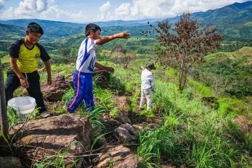 Las esferas restauradoras son dispersadas en las zonas forestales quemadas. Foto:  ANDINA/Difusión