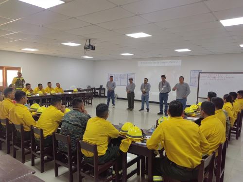 Dos nuevas brigadas contraincendios se conformaron en Ucayali, una de las regiones más afectadas por los incendios forestales en 2024. ANDINA/Difusión