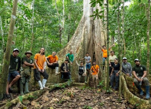 Organizaciones ambientalistas de Perú e Italia unen esfuerzos para conservar y proteger uno de los ecosistemas más biodiversos del mundo: la selva amazónica de Madre de Dios, hohar de los gigantescos árboles Shihuahuaco.