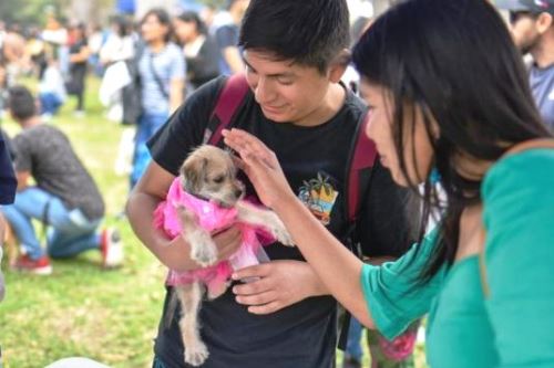 Patatón 2025: festival de animales rescatados llega al Circuito Mágico del Agua. Foto: ANDINA/Difusión.