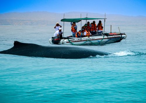 Mincetur reconoció a la playa Cancas como un destino de gran potencial para el desarrollo turístico sostenible en la región Tumbes. ANDINA/Difusión