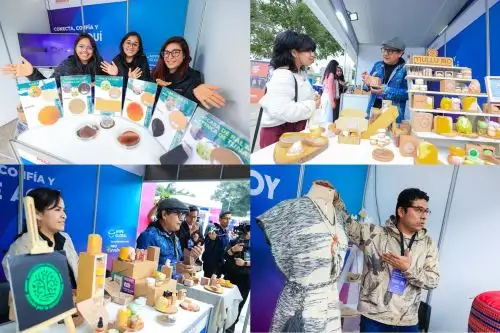 Las startups peruanas, provenientes de diversos sectores productivos, presentan soluciones sostenibles y tecnológicas que han escalado en el mercado nacional, con el respaldo financiero y técnico de ProInnóvate.