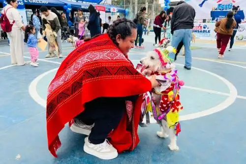Callao promueve adopción y cuidado responsable de animales con I Festimascotas. Foto: ANDINA/Difusión