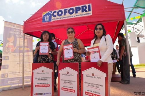 De los 541 títulos entregados, 32 corresponden a lotes destinados a servicios públicos, los cuales tienen un impacto significativo en el desarrollo de la región, ya que serán utilizados por importantes entidades públicas.ANDINA/Difusión