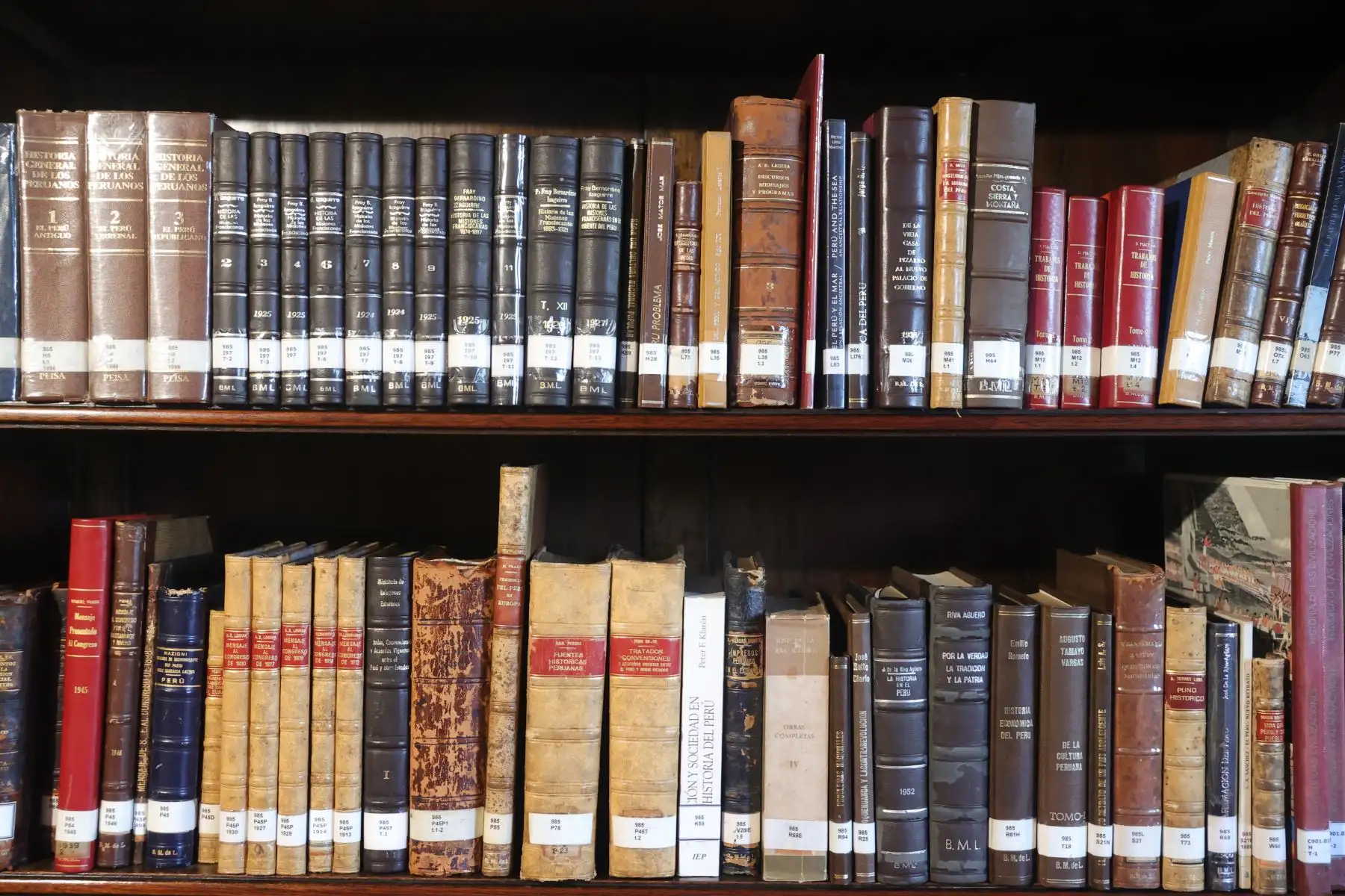Los orígenes de la biblioteca municipal se remontan, aproximadamente, al año 1903 cuando se adquieren sus primeras colecciones y funcionaba en diversos lugares de manera itinerante. Foto: ANDINA/Melina Mejía