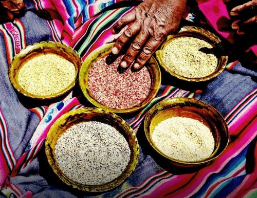 El Ministerio del Ambiente destacó el aporte fundamental de los granos andinos en la seguridad alimentaria del Perú y del mundo. ANDINA/Difusión