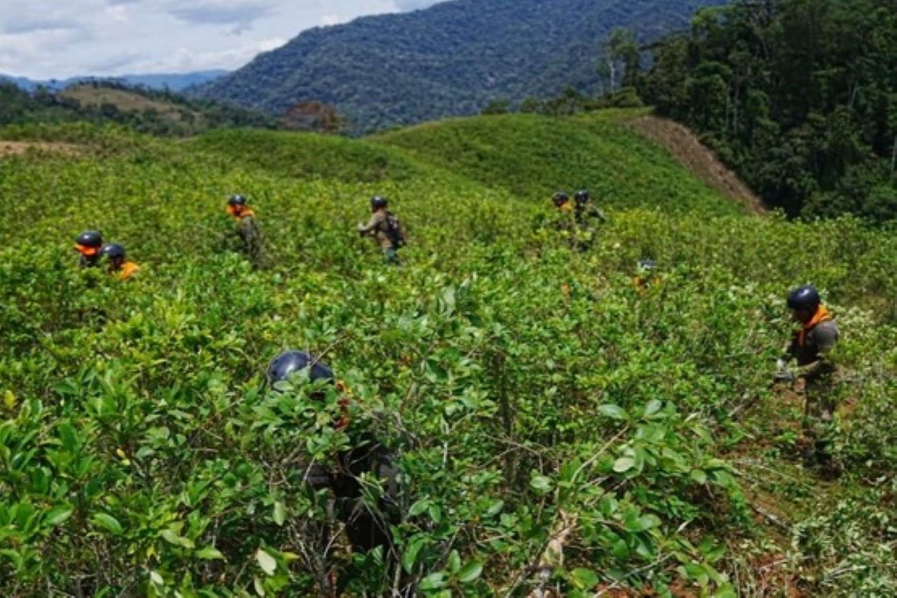 Se efectúan patrullajes rutinarios y especiales; se ha contado con el apoyo de las comunidades en acciones de vigilancia comunal, monitoreo remoto y vigilancia en puestos de control estratégicos. Foto: Minam
