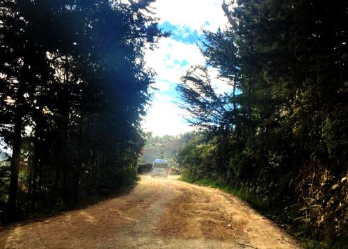 Con una inversión de S/ 27 millones, la Municipalidad Provincial de Cajamarca inició el asfaltado de 17 kilómetros de carretera al centro poblado de Chamis. ANDINA/Difusión
