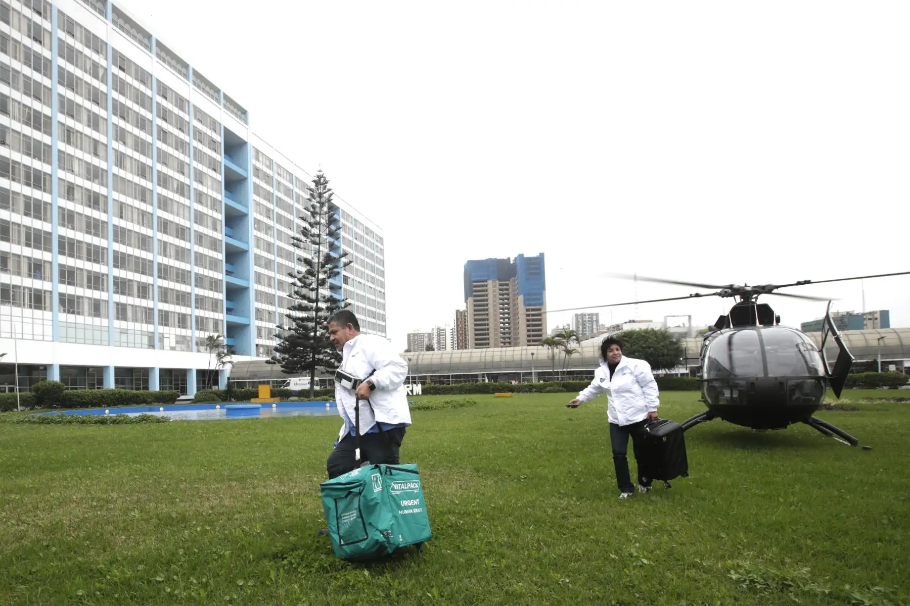 Un equipo de médicos especialistas de los hospitales, Edgardo Rebagliati, Guillermo Almenara y del Instituto Nacional Cardiovascular (INCOR), retornan a Lima trayendo un corazón, dos corneas, y el hígado. Los riñones se quedan en Arequipa para salvar la vida de dos pacientes con Enfermedad Renal Crónica. 
Foto: ANDINA/Eddy Ramos Un equipo de médicos especialistas de los hospitales, Edgardo Rebagliati, Guillermo Almenara y del Instituto Nacional Cardiovascular (INCOR), retornan a Lima trayendo un corazón, dos corneas, y el hígado. Los riñones se quedan en Arequipa para salvar la vida de dos pacientes con Enfermedad Renal Crónica. 
Foto: ANDINA/Eddy Ramos