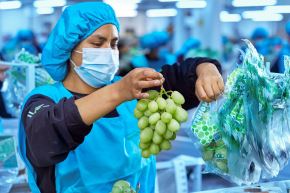 Las agroexportaciones peruanas cada año se incrementan y fortalecen en el mercado mundial. ANDINA/Difusión