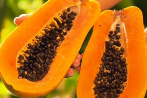 La papaya, la fruta que ayuda a la digestión y al sistema cardiovascular. Foto: ANDINA/Difusión.