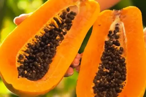 La papaya, la fruta que ayuda a la digestión y al sistema cardiovascular. Foto: ANDINA/Difusión.