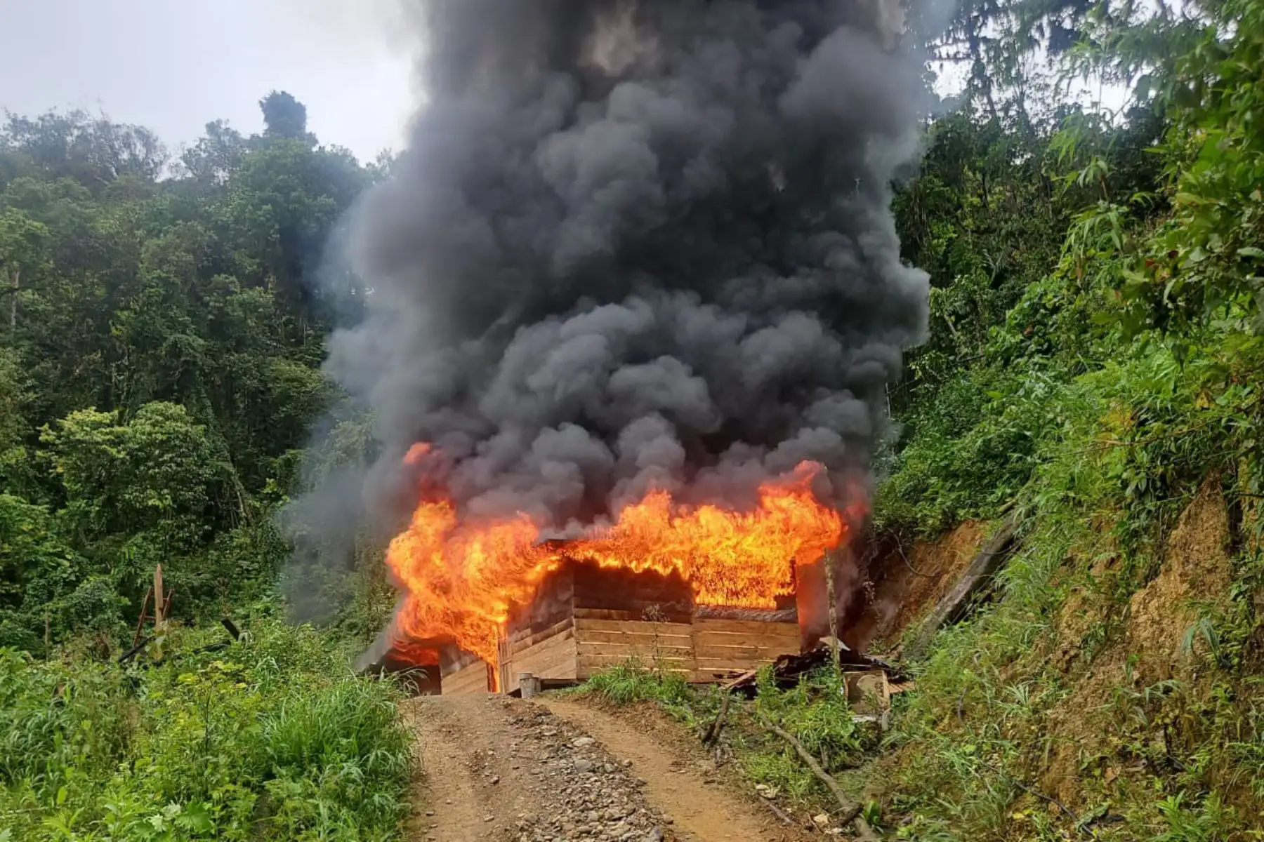 Campamentos ilegales fueron destruidos en la zona intervenida en el distrito de El Cenepa. Foto: Difusión