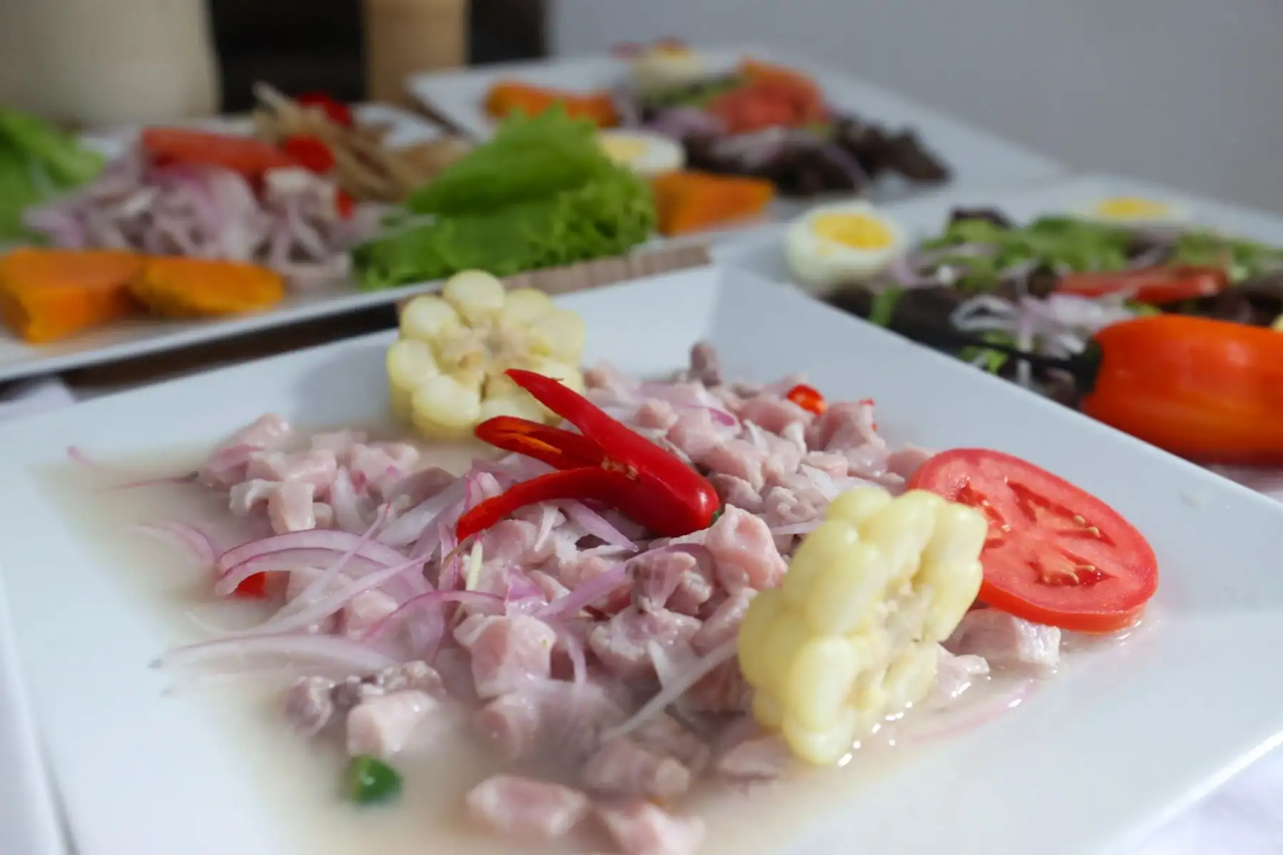 Monsefú lanzó oficialmente el FEXTICUM 2025, la feria de exposiciones típico culturales más representativa del norte del país. Este tradicional evento reúne lo mejor del arte, la gastronomía, la música y las costumbres locales. En esta edición, incluye importantes novedades como parte de “La Ruta del Papa”, iniciativa que rescata el legado cultural y espiritual dejado por la visita de San Juan Pablo II a la región. Foto:ANDINA / Juan Carlos Guzmán Negrini
