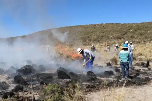 Brigadistas y pobladores lograron controlar un incendio forestal en el distrito de Tisco, en la provincia de Caylloma. ANDINA/Archivo