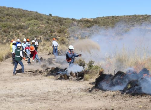 Más de 40 brigadistas de apoyo de diversas municipalidades de Arequipa fueron capacitados para prevenir incendios forestales. ANDINA/Difusión