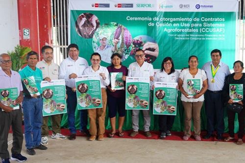 Desde 2024 hasta mayo de este año se han otorgado 657 contratos de cesión de uso para sistemas agroforestales en cuatro regiones. Foto: Minam