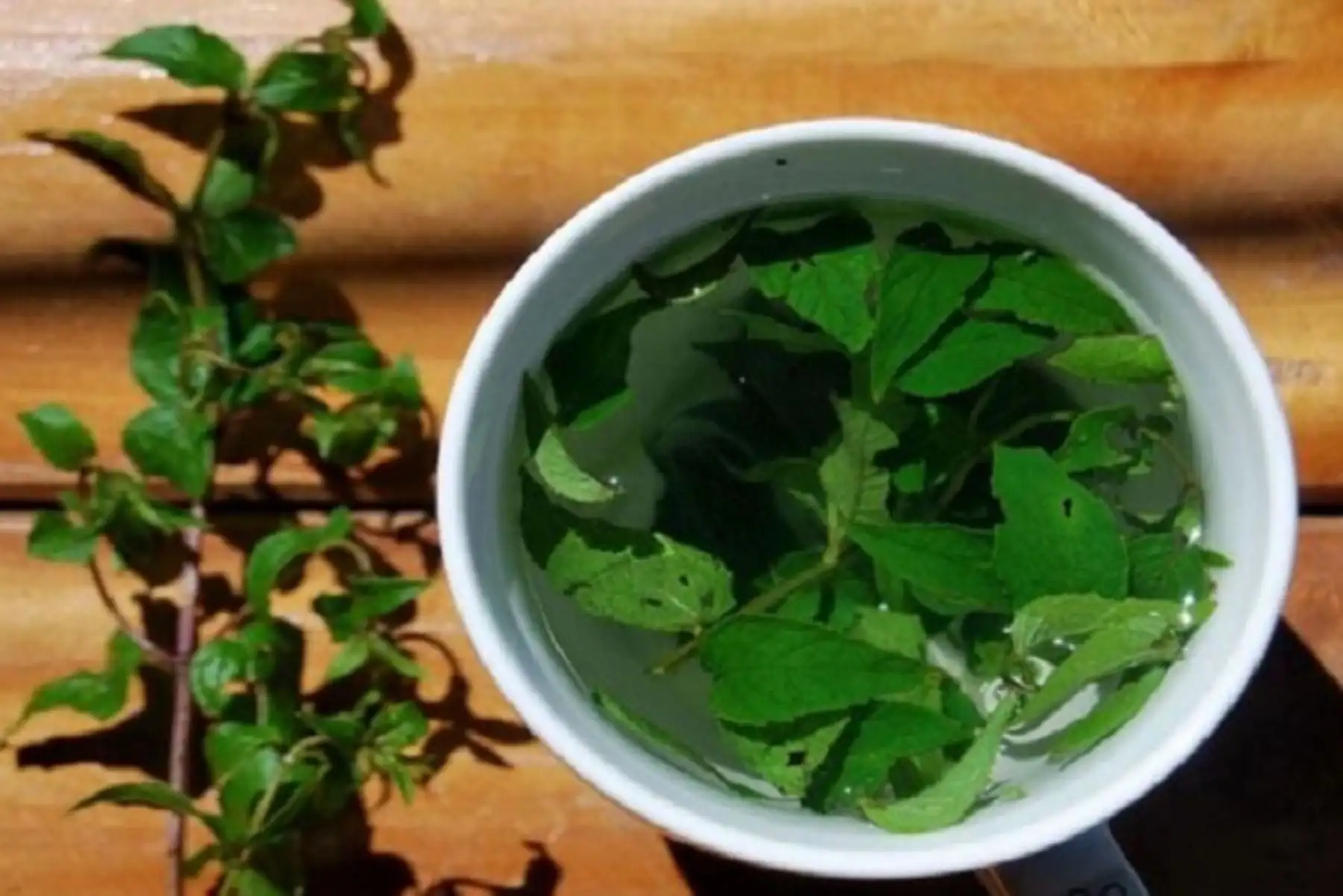 Medicina natural: ¿Cómo su práctica es pilar de identidad y patrimonio cultural en Perú?