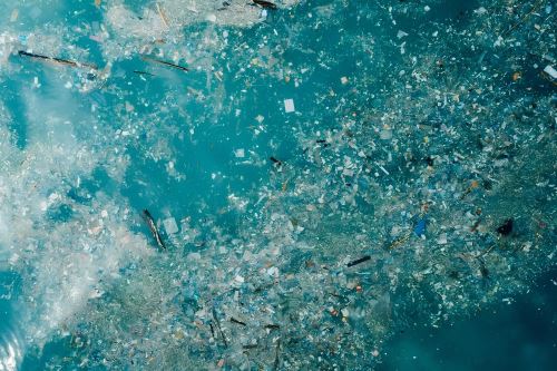 Para probar la biodegradabilidad de este material se proyecta evaluar la exposición de la oferta local de plásticos biodegradables a un sustrato residual del cultivo de hongos comestibles mediante un estudio aeróbico respirométrico.