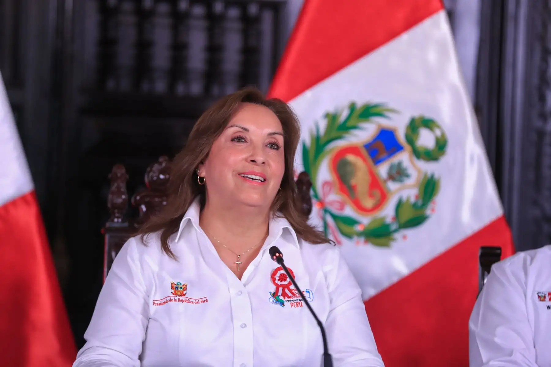 Presidenta Dina Boluarte lidera presentación sobre la formalización minera Reinfo junto a ministros de Estado. El Gobierno reafirma su compromiso frente a la minería ilegal e informal.
Foto: ANDINA/Prensa Presidencia