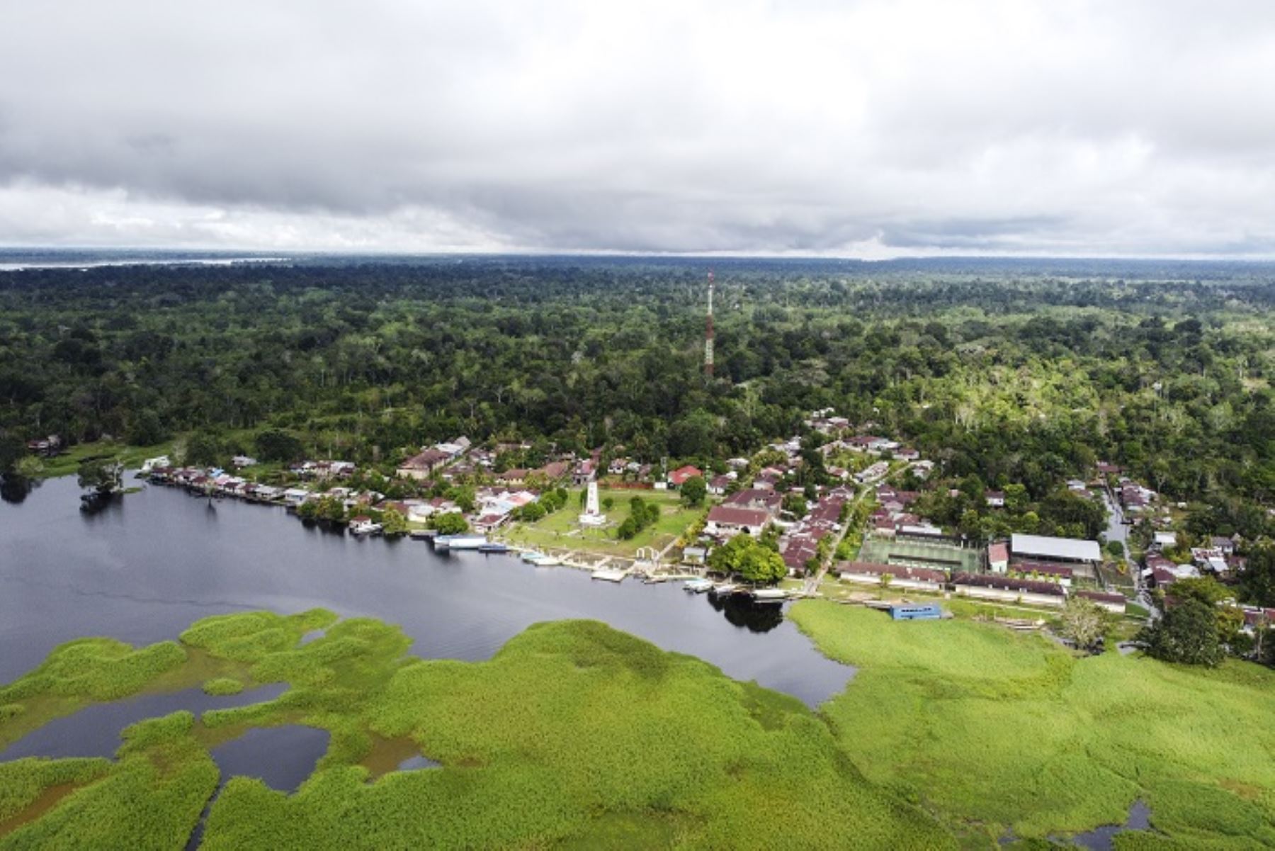Amazonía peruana. ANDINA/Difusión